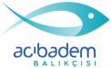 Acıbadem Balıkçısı